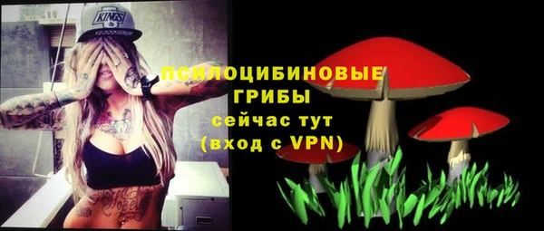 a pvp Горно-Алтайск