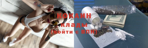 мяу мяу кристалл Гусь-Хрустальный