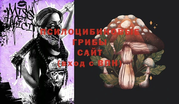 мескалин Гусев