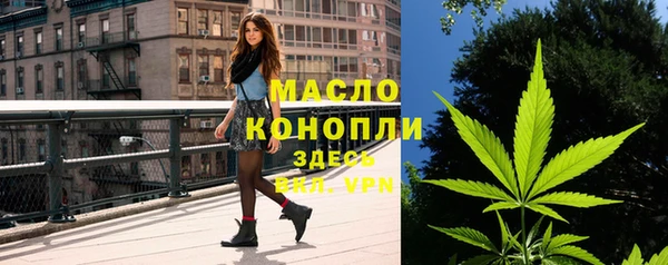 таблы Горняк