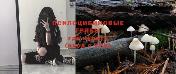 мескалин Гусев