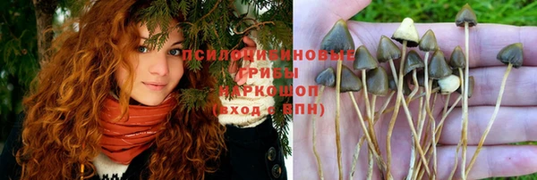 мескалин Гусев