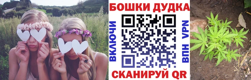 блэк спрут как войти  Батайск  Бошки Шишки сатива 